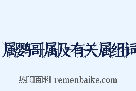 属鹦哥属及有关属组词是什么意思的图片